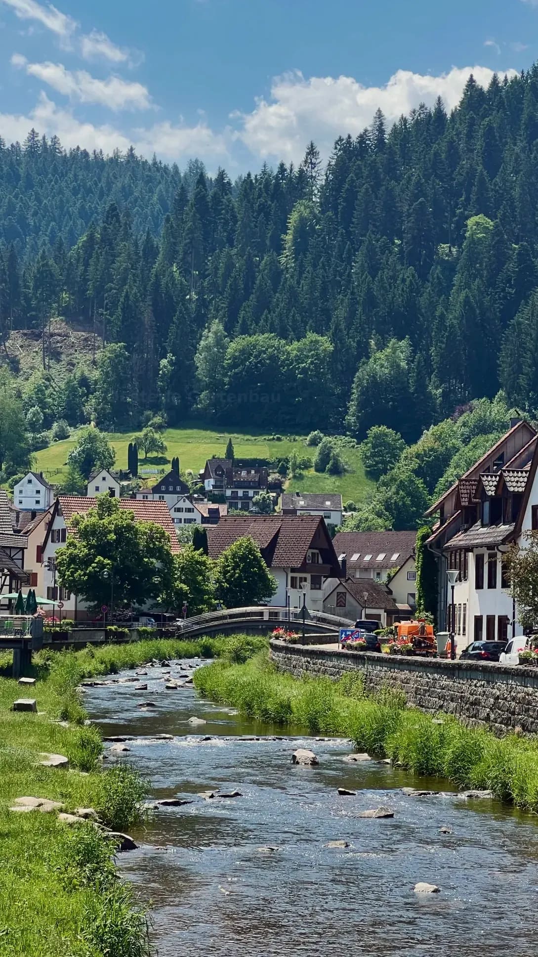 Oesterle Gartenbau 2