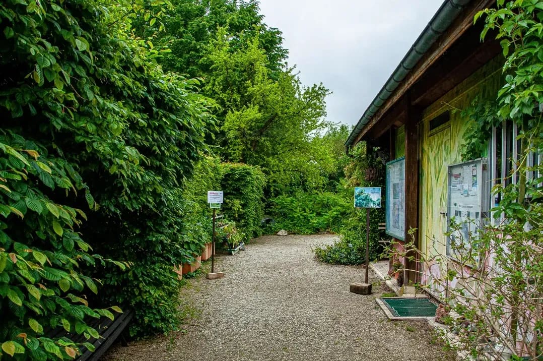 Oesterle Gartenbau 3